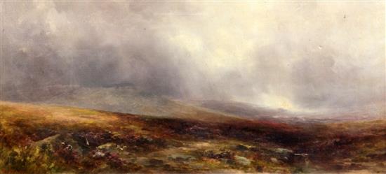 George Shaw (1843-1915) Nr. Bridestowe, Dartmoor, 18 x 40in.